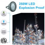 Explosion Proof Lights Class 1 250W 5000K 35,000LM with AC100-277V UL Listed (10)